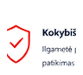Kokybiškas rezultatas